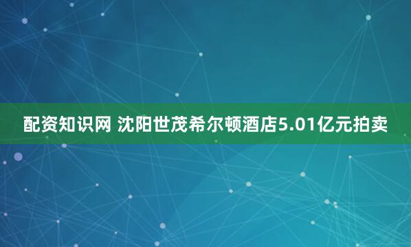 配资知识网 沈阳世茂希尔顿酒店5.01亿元拍卖