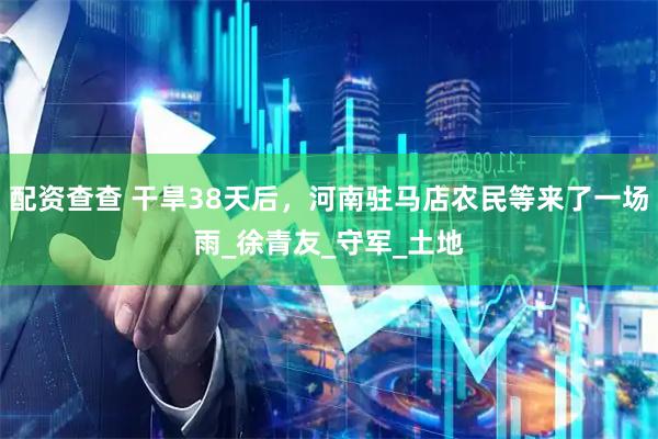 配资查查 干旱38天后，河南驻马店农民等来了一场雨_徐青友_守军_土地