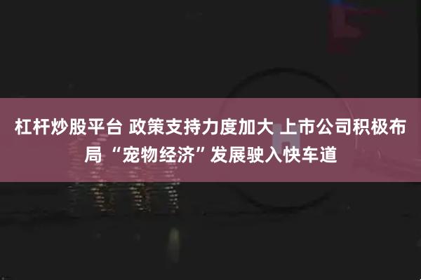 杠杆炒股平台 政策支持力度加大 上市公司积极布局 “宠物经济”发展驶入快车道